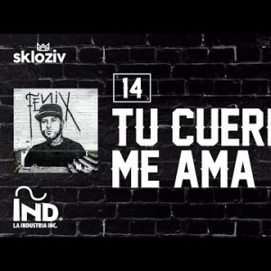 14 Tu Cuerpo Me Ama - Nicky Jam Ft Minek Álbum Fénix