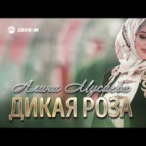 Алина Мусиева - Дикая Роза