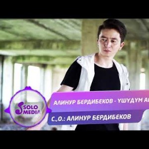 Алинур Бердибеков - Ушудум апа Жаны ыр