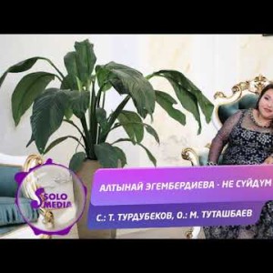 Алтынай Эгембердиева - Не суйдум ай Жаны