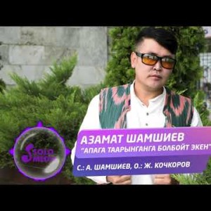 Азамат Шамшиев - Апага таарынганга болбойт экен Жаны ыр