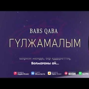 Bars Qaba - Гүлжамалым