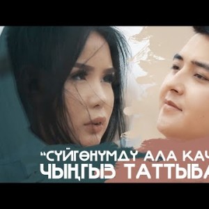 Чынгыз Таттыбаев - Суйгонумду Ала Качты