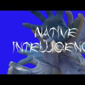 Danny Elfman, Trent Reznor - Native Intelligence
