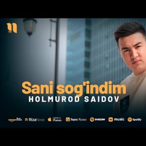 Holmurod Saidov - Sani Sog'indim