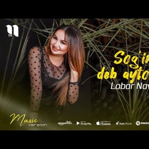 Lobar Navruzova - Soʼgindim Deb Aytolmadim