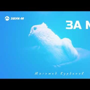 Магомед Курбанов - За Мир