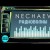 Nechaev - Радиоволны