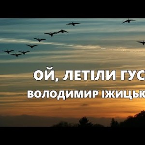 Ой, Летіли Гуси - Запальна Українська Пісня Виконує