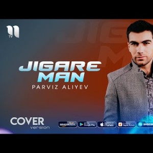 Parviz Aliyev - Jigare Man Cover Version
