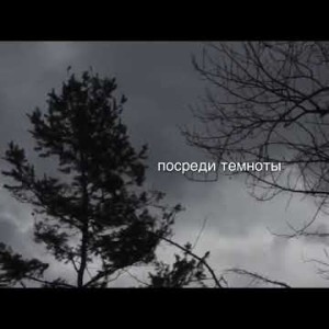 Pavluchenko - Холодным Official Lyric Video