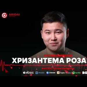 Рүстем Шийргенов - Хризантема Роза Ма
