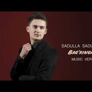 Sadulla Sadullayev - Bagʼringa Bos