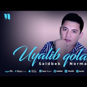 Saidbek Normatov - Uyalib Qolasiz