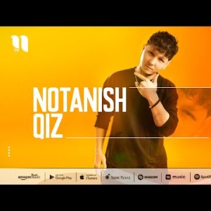 Shahin - Notanish Qiz