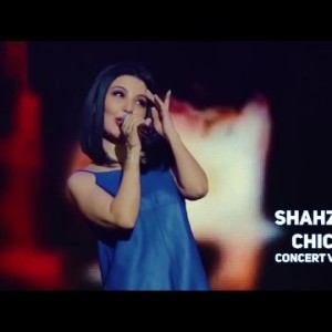 Shahzoda - Chicco