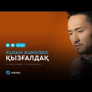 Ұшқын Жамалбек - Қызғалдақ аудио