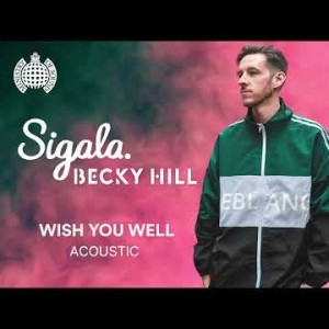 Sigala Ft Becky Hill - Wish You Well Acoustic