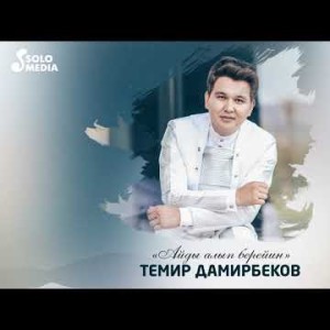 Темир Дамирбеков - Айды алып берейин Жаны ыр