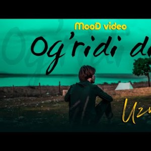 Uzmir - Og'ridi Dil Mood Video