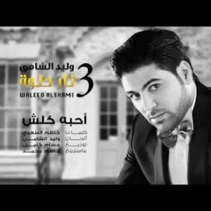 Waleed Al Shami Ahebah Kolsh - Lyrics