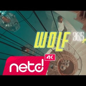 Wolf - 365 Girls