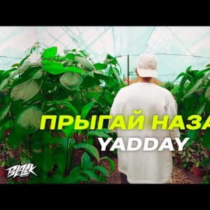 Yadday - Прыгай Назад