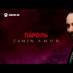 Zamin Amur - Пароль