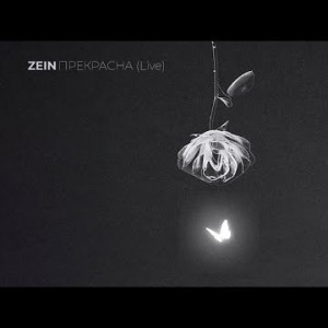 Zein - Прекрасна Live